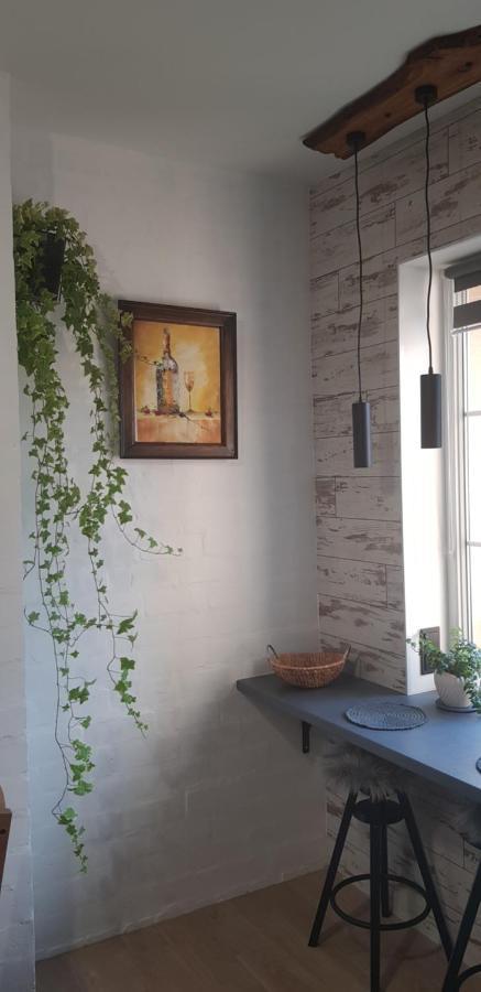 Dailidziu Apartamentai 클라이페다 외부 사진